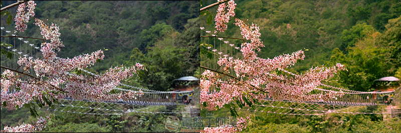 創造屬於你的濾鏡樣式，Adobe Lightroom手機版分割色調簡易教學 - 電腦王阿達