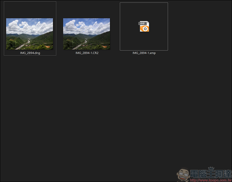 淺談照片RAW檔該存DNG檔還是RAW檔呢? - 電腦王阿達