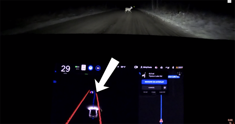 特斯拉新版自動駕駛 FSD Beta 遭遇「真 · 麋鹿挑戰（還是晚上）」會發生什麼事？一起看看吧（影片） - 電腦王阿達