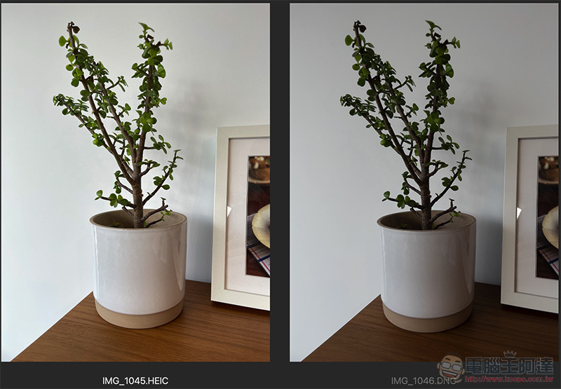 iPhone 12 Pro Max 深度實拍體驗：ProRAW 讓 iPhone 踏入專業 - 電腦王阿達