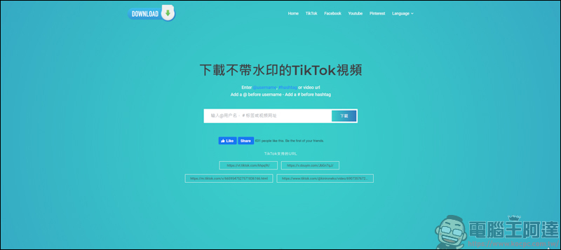TikTokFull 一個可下載無浮水印的 TikTok 影片，還能下載 Facebook、Youtube 等平台影片 - 電腦王阿達