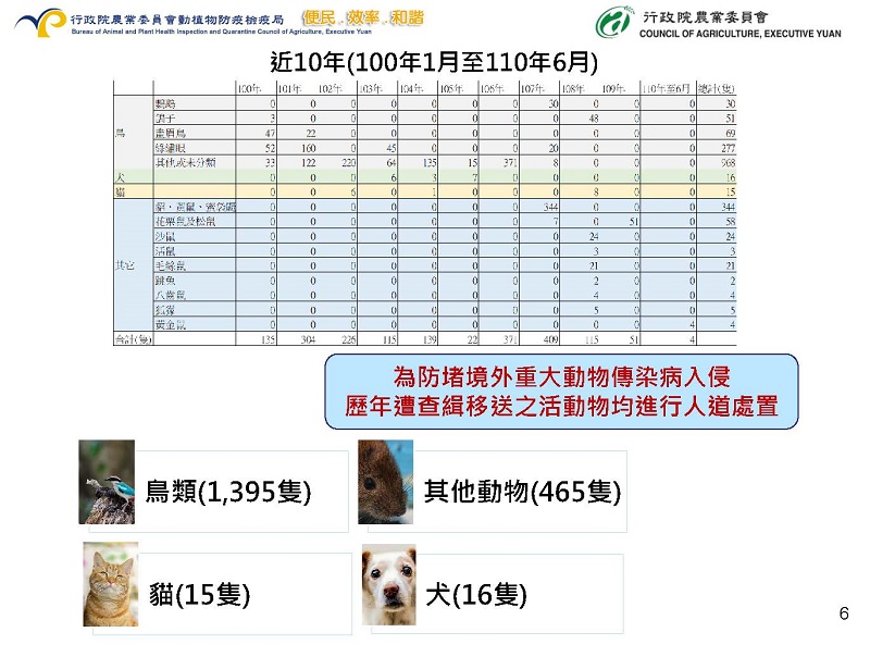 貓隻走私人道處置議題 動植物輸出入皆有嚴格檢疫規定 - 電腦王阿達