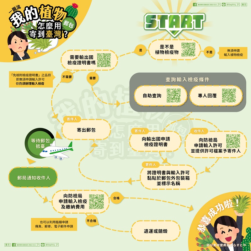 貓隻走私人道處置議題 動植物輸出入皆有嚴格檢疫規定 - 電腦王阿達