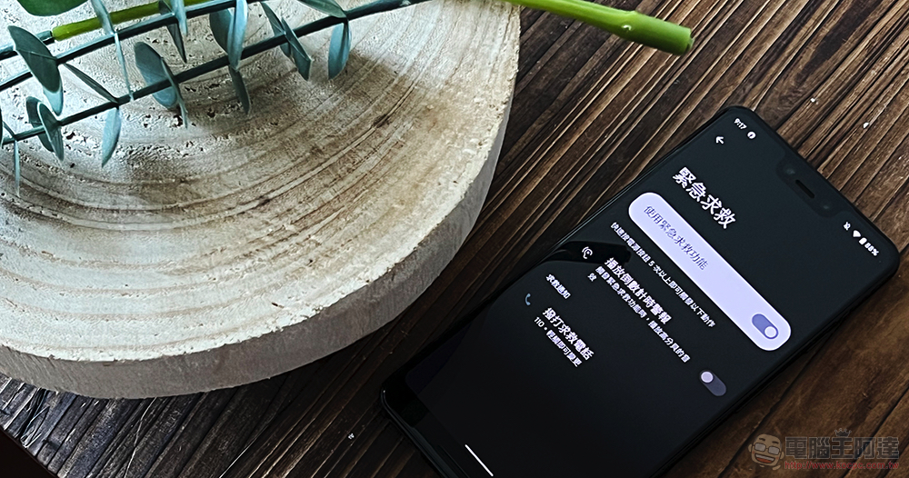 Google 為 Pixel 手機加入可自動錄影上傳分享的緊急功能 - 電腦王阿達