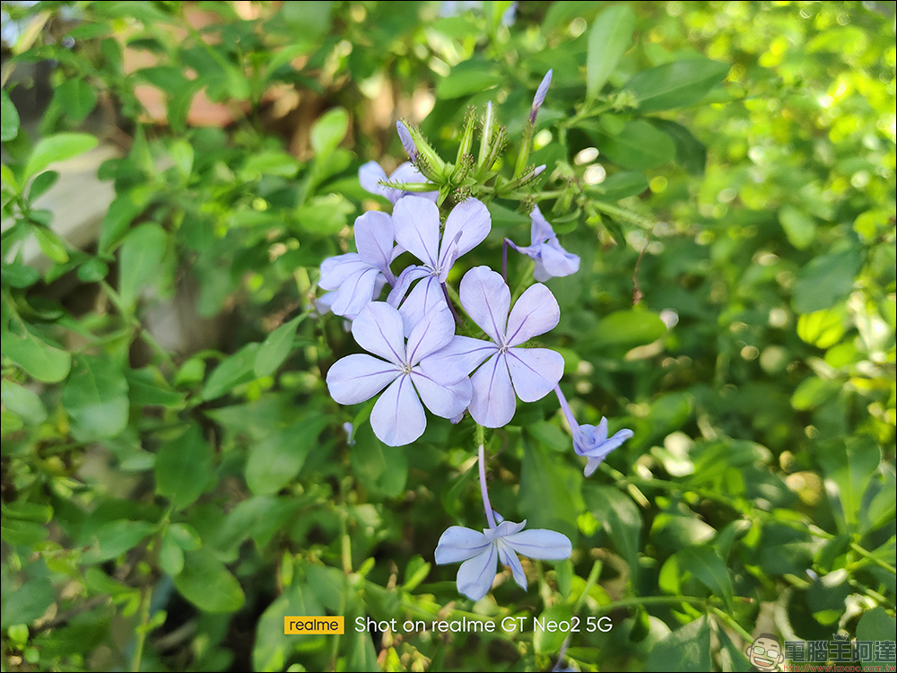 realme GT Neo2 開箱、評測｜「Cool 冷黑薄荷」潮流性能旗艦殺手強勢登場！（同場加映：narzo 50 系列高 CP 值長續航平價新機） - 電腦王阿達