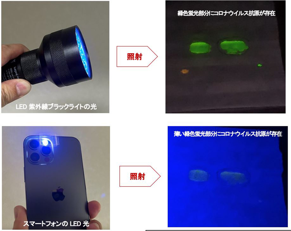 鴕鳥立大功！日本科學家開發出遇到 COVID-19 病毒會發亮的口罩 - 電腦王阿達