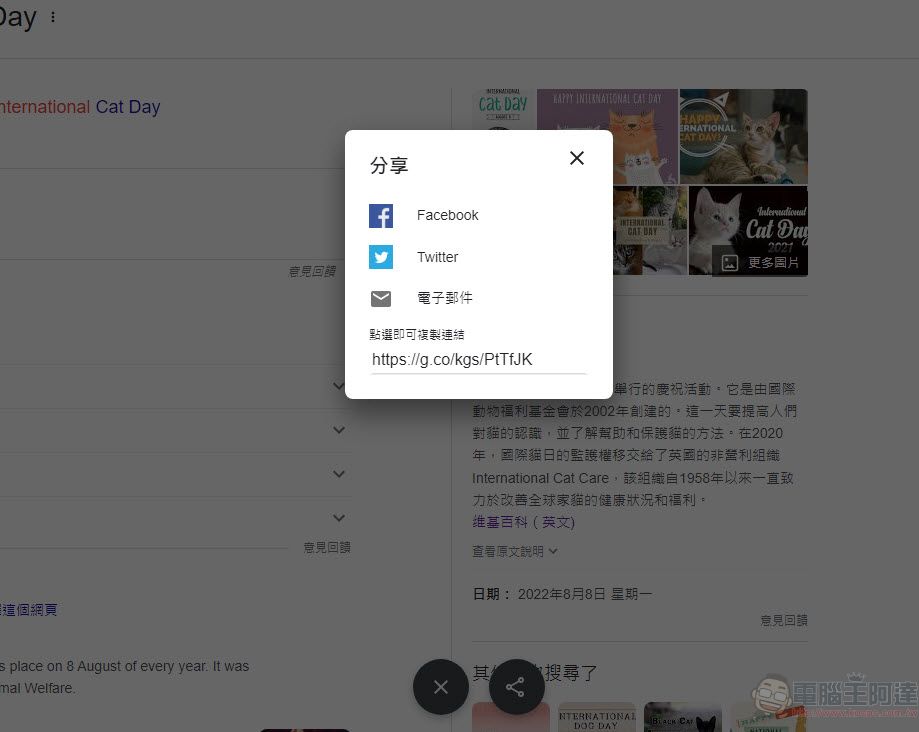 8月8日國際貓節日 Google 搜尋加入貓咪彩蛋 - 電腦王阿達