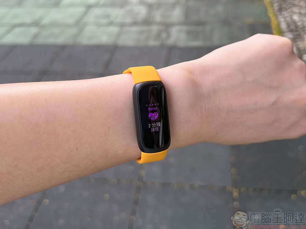 Fitbit Sense 2、Versa 4 與 Inspire 3 開箱試用特色彙整，哪個最適合你？ - 電腦王阿達