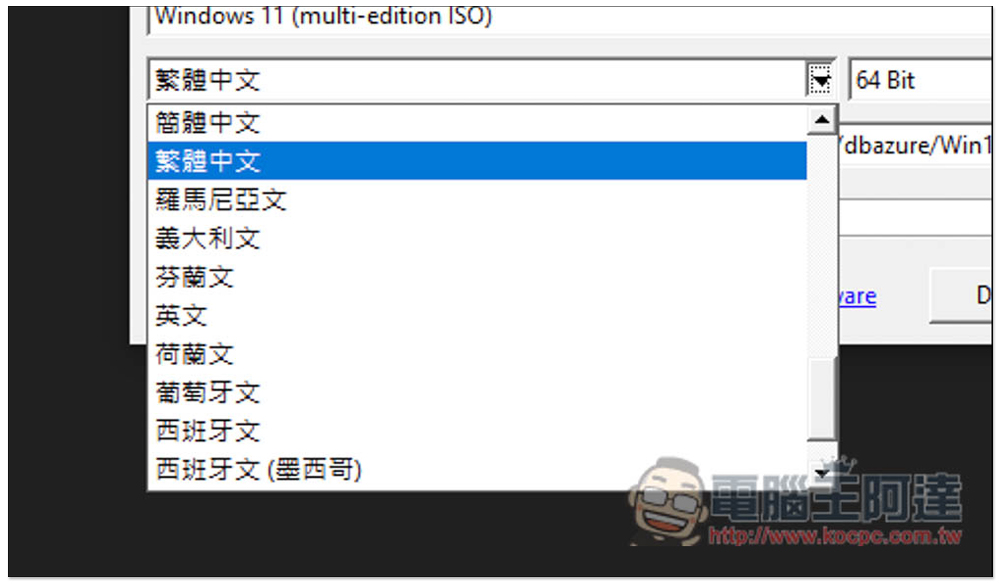 Hasleo Windows ISO Downloader 一鍵下載微軟官方 Win11/10/8.1 ISO 檔的免費軟體 - 電腦王阿達