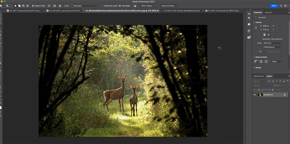 Adobe 為Photoshop、Lightroom 導入全新 AI 與協作功能，大幅提高創作效率 - 電腦王阿達