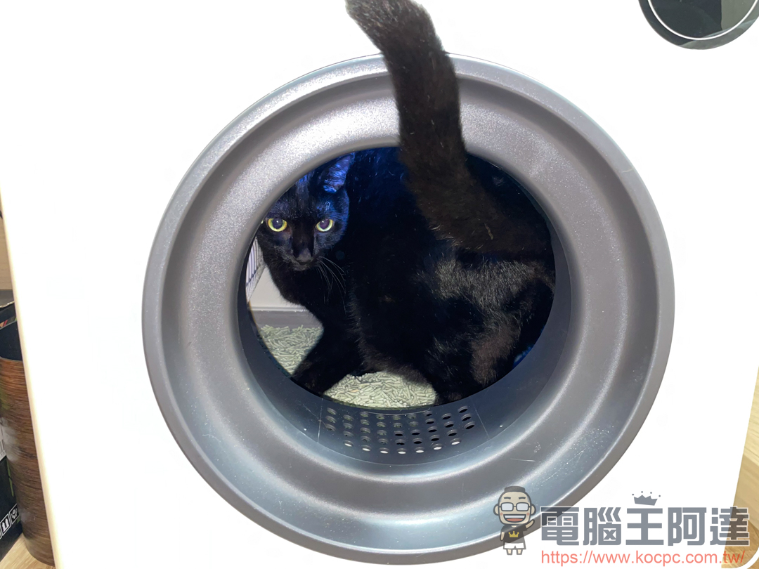 【Pet Marvel全自動智慧貓砂盆】擺脫剷屎官的雙手自由 - 電腦王阿達