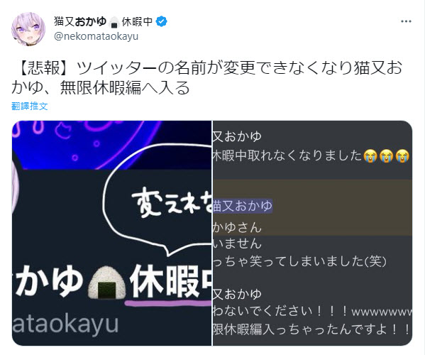 外電報導「Twitter Blue」將暫停提供訂閱 已有藍勾者無法更改帳戶顯示名稱 - 電腦王阿達