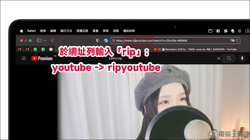 Rip YouTube 免費影片下載工具：支援最高 4K YouTube 影片、音樂免費下載，無廣告、操作超簡單 - 電腦王阿達