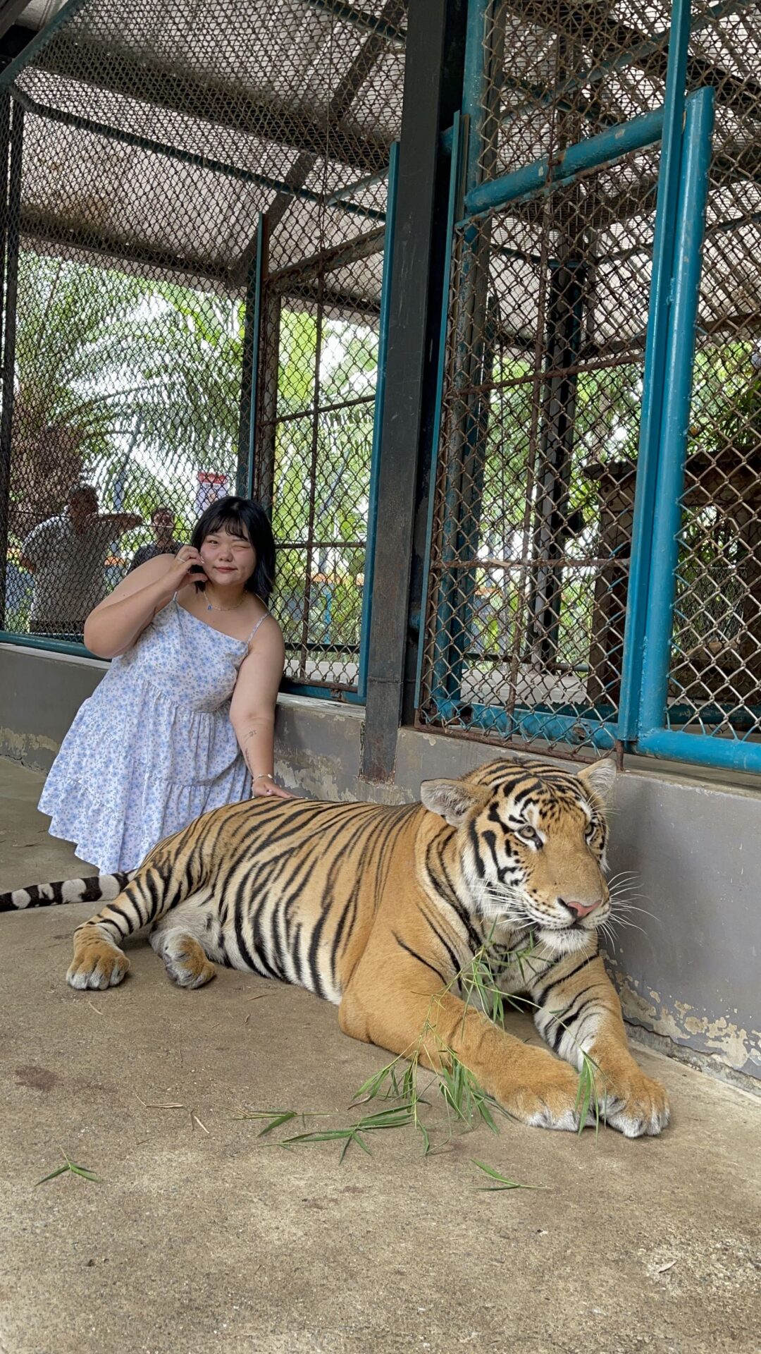 泰國旅行必看旅遊攻略，去泰國玩應該怎麼規劃行程呢？去泰國會花很多錢嗎？ - 電腦王阿達