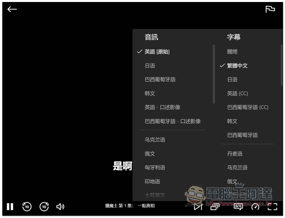 SubTrans 實現 Netflix、Udemy、YouTube 等影音網站即時字幕翻譯，支援雙字幕顯示 - 電腦王阿達