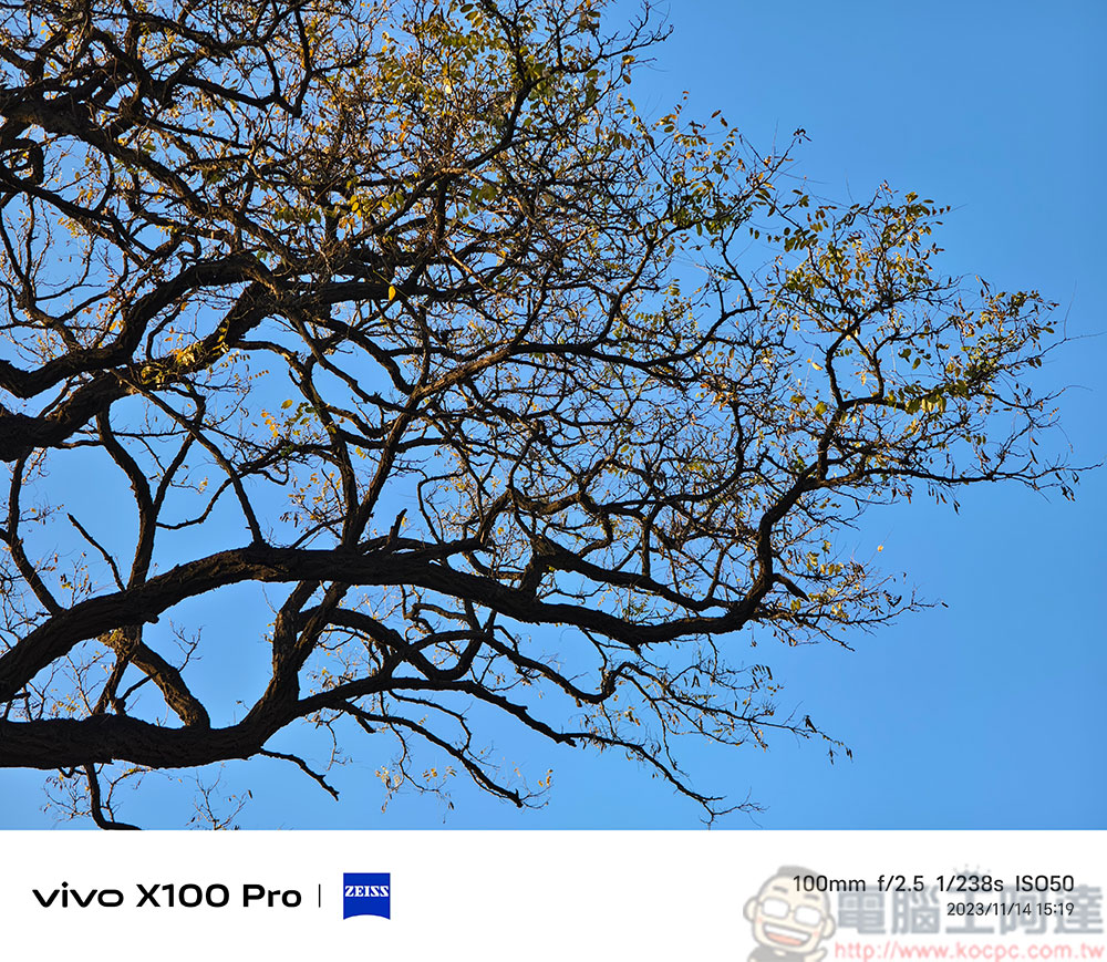 vivo X100 Pro 攝影技術細細看與實拍：變焦、人像、錄影、夜景 - 電腦王阿達