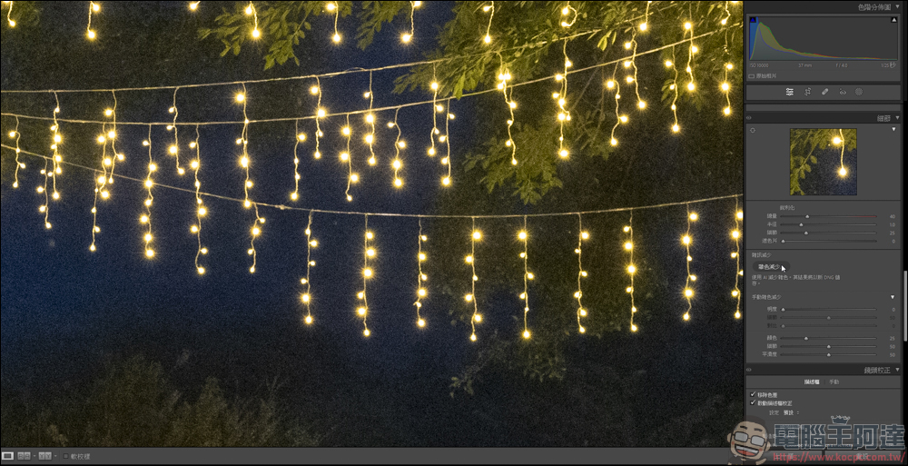 新版的 Lightroom AI 雜色減少功能，一鍵除噪點還能保有大量細節 - 電腦王阿達