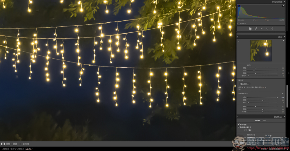 新版的 Lightroom AI 雜色減少功能，一鍵除噪點還能保有大量細節 - 電腦王阿達
