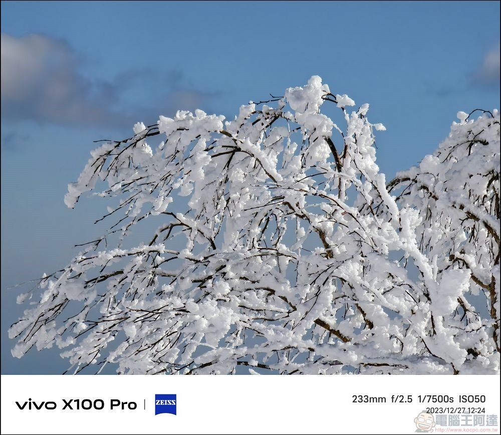 vivo X100 Pro 拍照測試 - 067