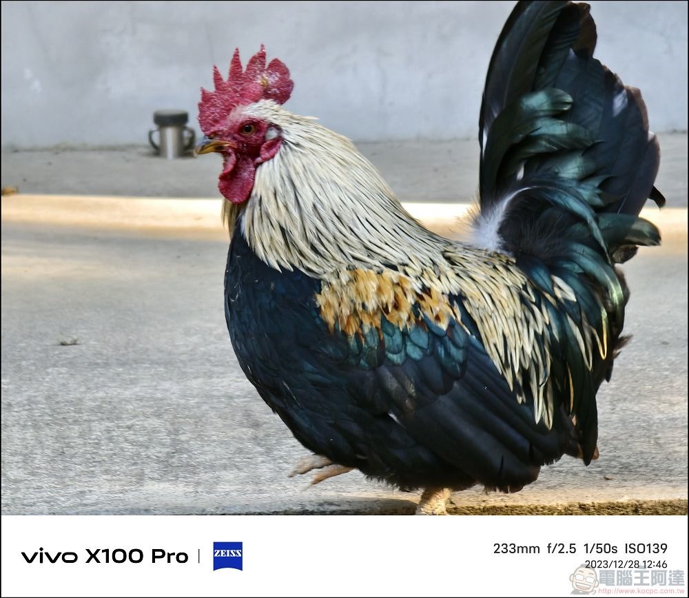 vivo X100 Pro 拍照測試 - 085