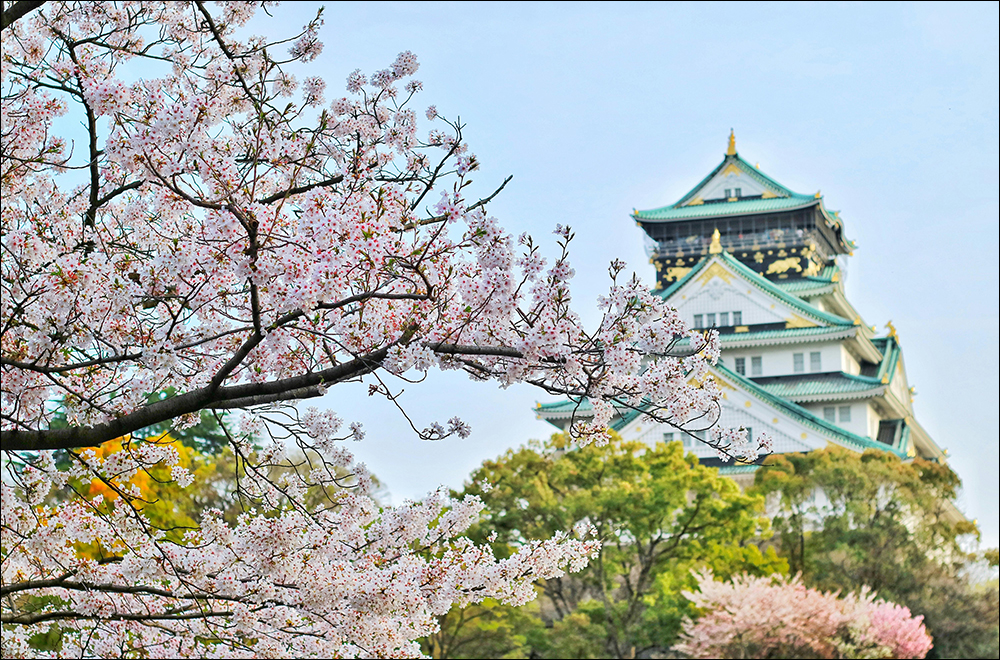 日本櫻花季 2024 最新預測，全國櫻花開花時間、地點推薦 - 電腦王阿達