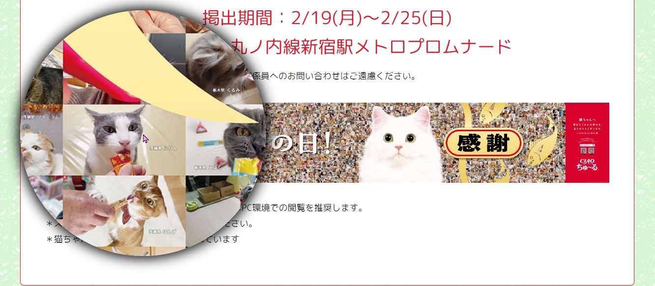 日本貓食品牌為慶祝貓之日在東京新宿站刊登超大海報，暗藏許多小巧思 - 電腦王阿達