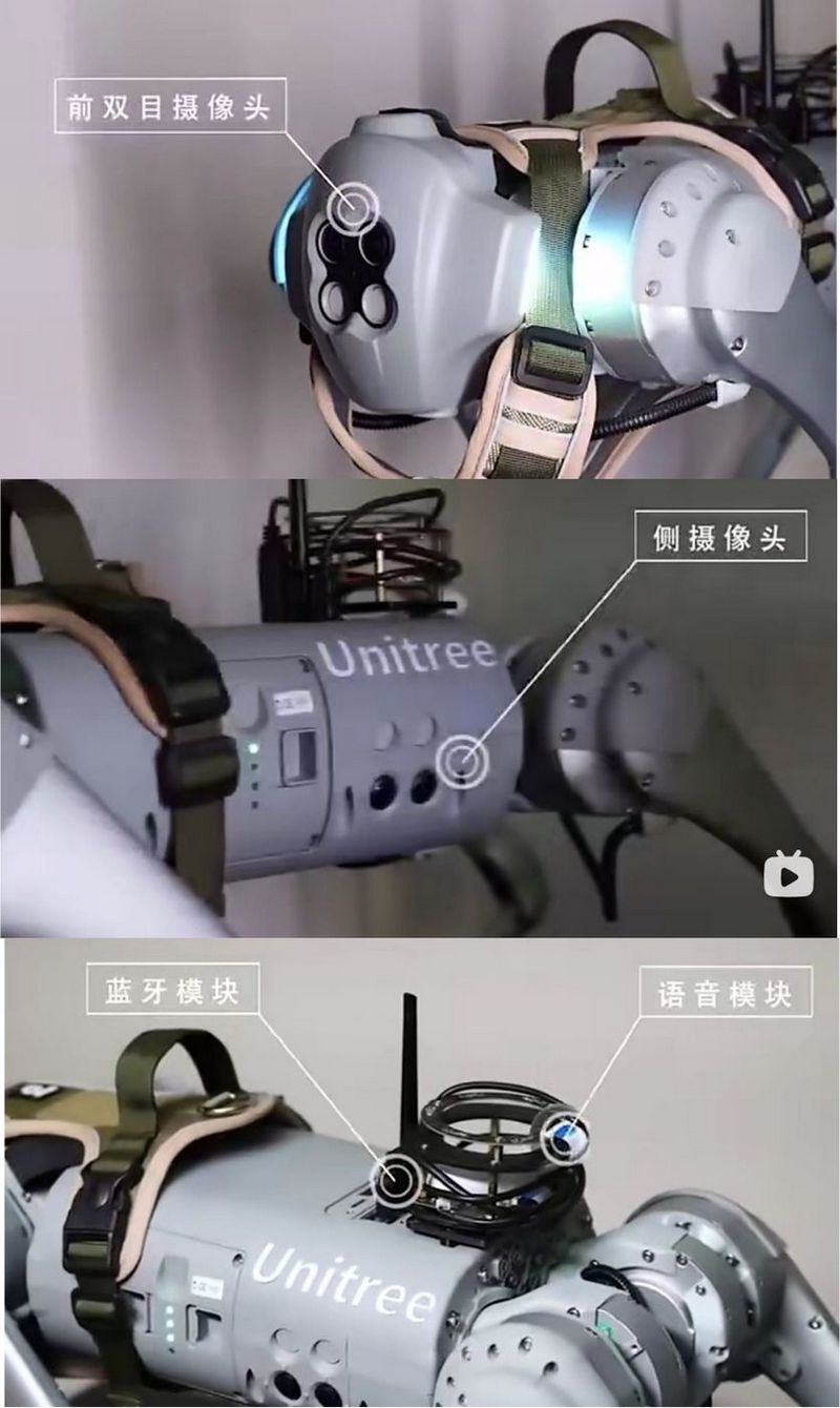 中國西北工業大學研製出可離線使用的機器導盲犬 InternDog - 電腦王阿達