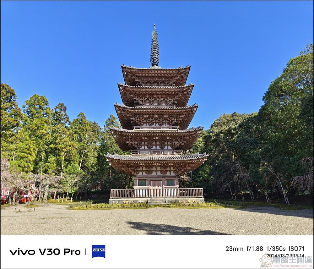 vivo V30 Pro 拍攝樣張 - 07