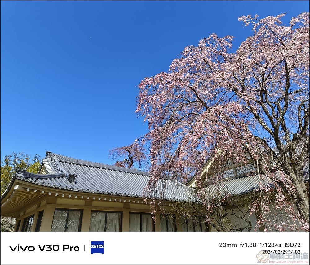 vivo V30 Pro 拍攝樣張 - 48