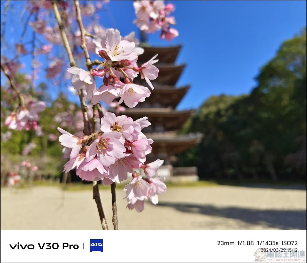 vivo V30 Pro 拍攝樣張 - 52