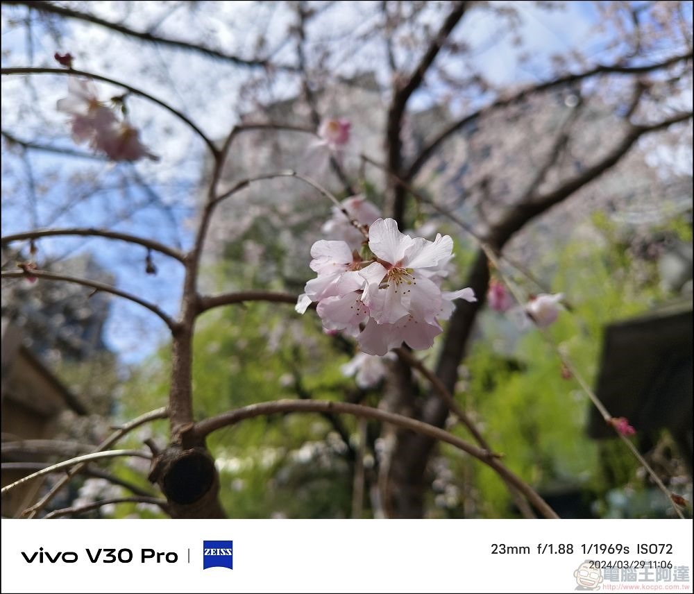 vivo V30 Pro 拍攝樣張 - 57