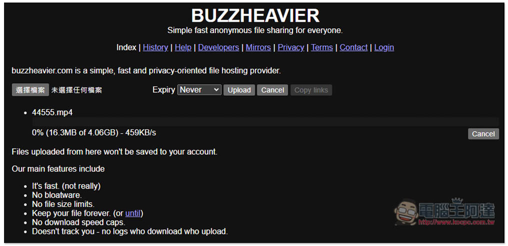 BUZZHEAVIER 標榜高速、無容量限制、永久保存、匿名的免費檔案分享服務 - 電腦王阿達
