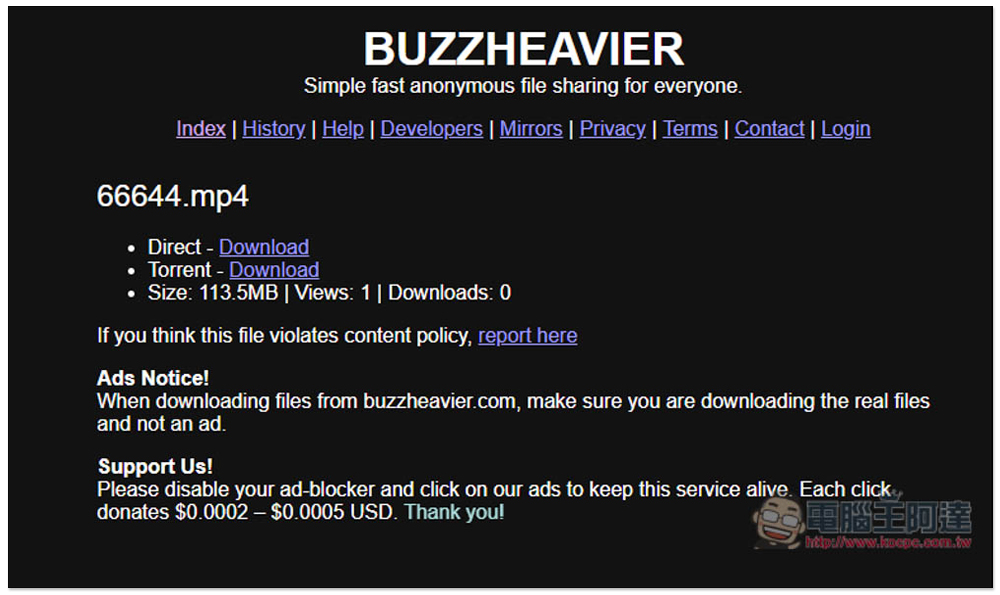 BUZZHEAVIER 標榜高速、無容量限制、永久保存、匿名的免費檔案分享服務 - 電腦王阿達