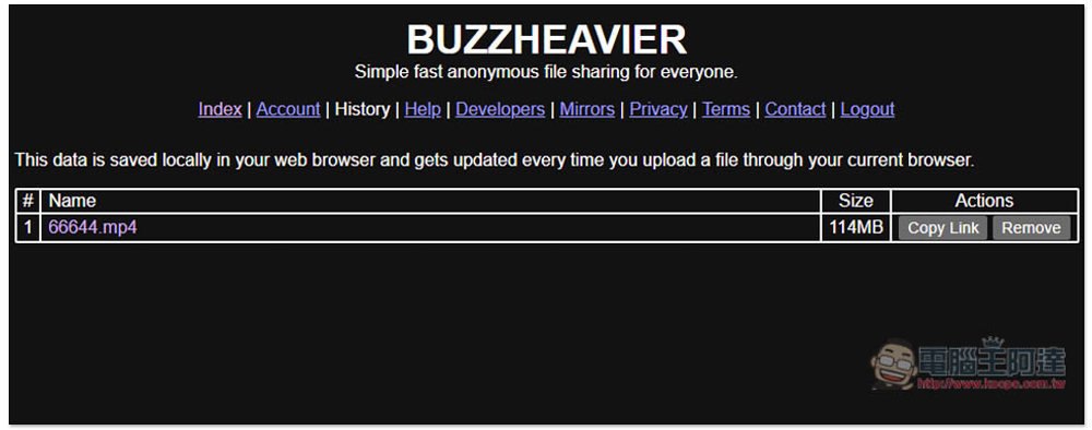 BUZZHEAVIER 標榜高速、無容量限制、永久保存、匿名的免費檔案分享服務 - 電腦王阿達
