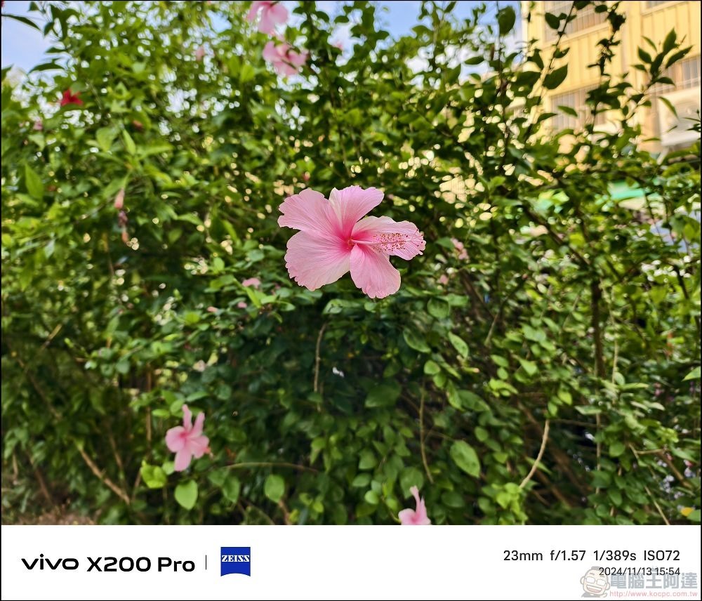 vivo X200 Pro 拍攝樣張 - 35