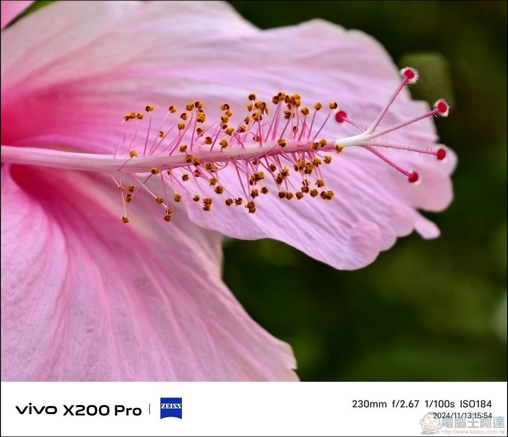 vivo X200 Pro 拍攝樣張 - 36