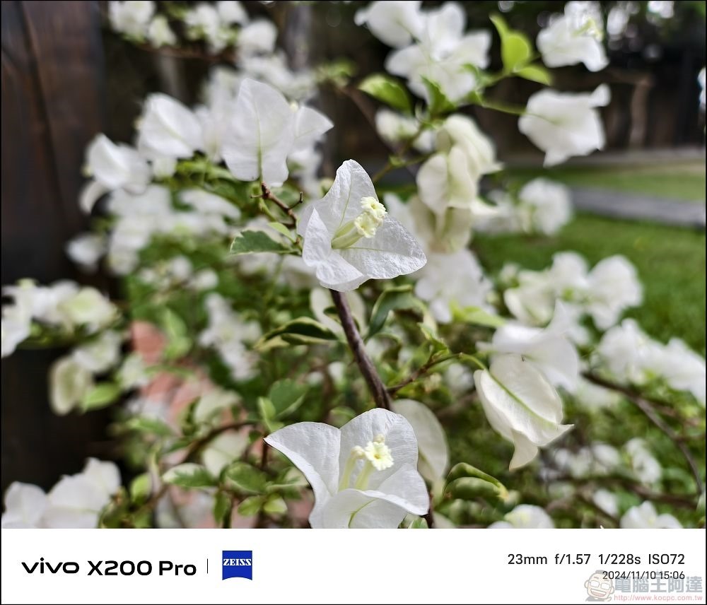 vivo X200 Pro 拍攝樣張 - 39