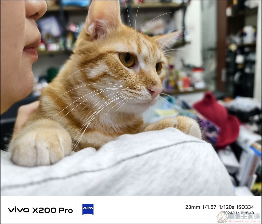 vivo X200 Pro 拍攝樣張 - 58