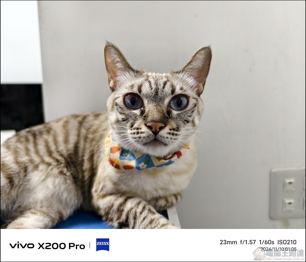 vivo X200 Pro 拍攝樣張 - 59