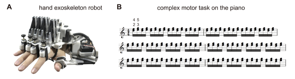 研究顯示鋼琴家使用機器人外骨骼手套，有望突破「天花板效應」瓶頸 - 電腦王阿達