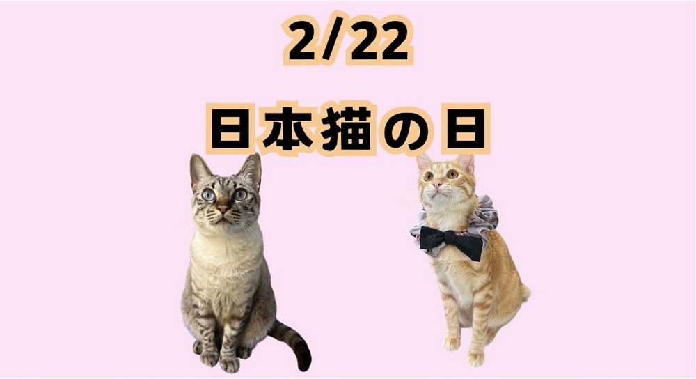 2025日本貓之日：麥當勞、全家、Google等品牌推出可愛貓咪驚喜 - 電腦王阿達