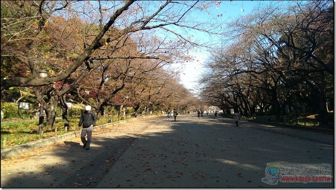 東京自由行之上野27