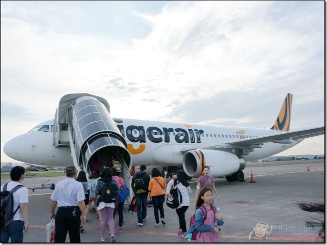 Tiger Airline (12)